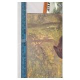 Bear Picture and Nanoel Picture