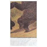 Bear Picture and Nanoel Picture