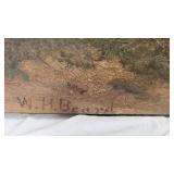 Bear Picture and Nanoel Picture