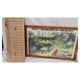 Bear Picture and Nanoel Picture