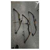 Pair of Compound Bows