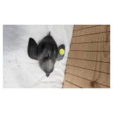 Hand Carved "B.A.D." #72 Spearing Decoy