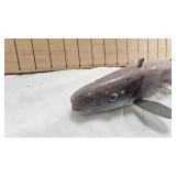 Hand Carved Signed Don Bethel Spearing Decoy