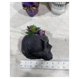 Decorative Skull Collection (7 items)