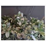 Lot of (4) Faux Plant Arrangement with Clear Glass Cylinder Vase