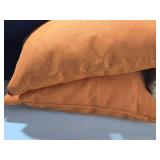 Lot of (2) 15" Throw Pillows