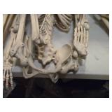 Lot of (2) Pose-N-Stay Antique Skeleton