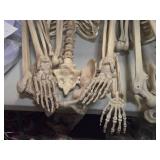 Lot of (2) Pose-N-Stay Antique Skeleton