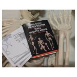 Lot of (2) Pose-N-Stay Antique Skeleton