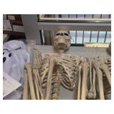 Lot of (2) Pose-N-Stay Antique Skeleton