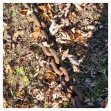 Approx 12 foot 1/2" Diameter Log Change, 2 Diesel Fuel Barrels, Allis Chalmers Hitch Attachment