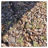 Approx 12 foot 1/2" Diameter Log Change, 2 Diesel Fuel Barrels, Allis Chalmers Hitch Attachment