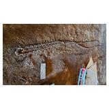 40 Ft Heavy Duty Tractor Log Chain