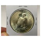 1923 Silver Peace Dollar