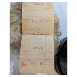 2-Wig Boutique Lot: Vintage Adolfo "Jeanine" & Toni Brattin "Anytime"