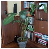 ML - 5 Foot Tall Potted Faux Plant with Decorative Pot