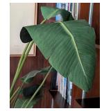 ML - 5 Foot Tall Potted Faux Plant with Decorative Pot