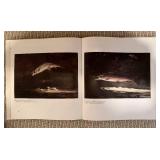 LL - Collection of 4 Art and Nature Coffee Table Books