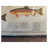 LL - Framed 1982 Maynard Reece Trout Print