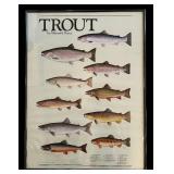 LL - Framed 1982 Maynard Reece Trout Print