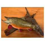 LL - 17 Inch Brook Trout Fish Wall Mount on Driftwood