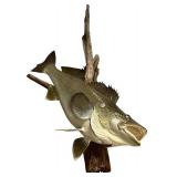 LLS - 20-Inch Mounted Walleye Fish on Driftwood Plaque