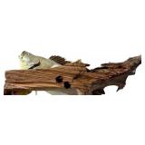 LLS - 20-Inch Mounted Walleye Fish on Driftwood Plaque