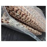 Area Rug 9x12 mulit-color tan