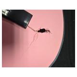 Kids Acoustic Guitar Beginner Starter Kit w/ Carrying Case - 30in (Pink) Damaged See Pic