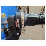 Gravity Dutch Express hybrid bicycle.