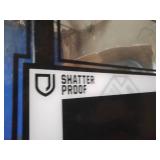 Lifetime Adjustable Portable Basketball Hoop (54-Inch Acrylic)