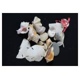 Ceramic Bowls and Candle Holders Collection with Candles and Sea Shells