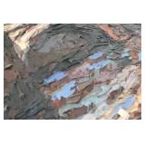 Framed Impasto Oil Painting Signed A. Nocera 37x30