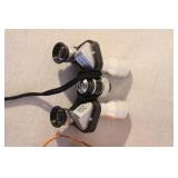 Spel View 8x20 Compact Binoculars with Leather Case