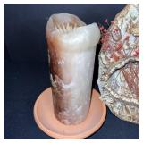 Fossil and Rock Collection with Petrified Wood and Candle