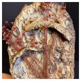 Fossil and Rock Collection with Petrified Wood and Candle