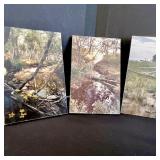 Set of 6 Vintage Landscape Photos and 2 Religious Themed Wall Plaques