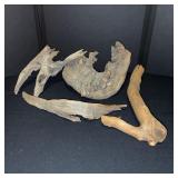 Collection of Driftwood and Pine Cones with Rustic Wooden Caddy