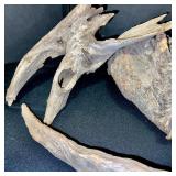 Collection of Driftwood and Pine Cones with Rustic Wooden Caddy