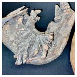 Collection of Driftwood and Pine Cones with Rustic Wooden Caddy