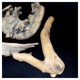 Collection of Driftwood and Pine Cones with Rustic Wooden Caddy