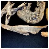 Collection of Driftwood and Pine Cones with Rustic Wooden Caddy