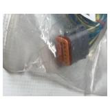 Wiring Harness and Wiring Module