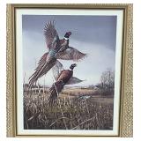 Framed Behind Glass James Meager Autographed And Dated Pheasant Picture 11 1/2" X 13"