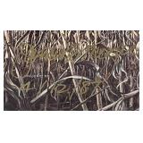 Framed Behind Glass James Meager Autographed And Dated Pheasant Picture 11 1/2" X 13"