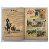 10 Cent 1954 Dell  "Son Of Black Beauty" Comic