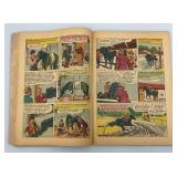 10 Cent 1954 Dell  "Son Of Black Beauty" Comic