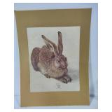"Hare 1502" by Albrecht Durer