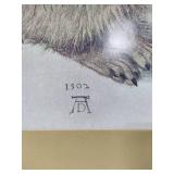 "Hare 1502" by Albrecht Durer