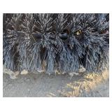 Large Sweepster with Briggs & Stratton Engine